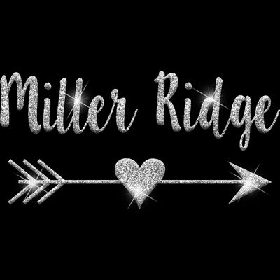 GLT46 SILVER GLITTER Thumbnail